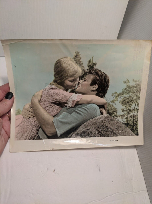 Don Siegel The Hound Dog Man VINTAGE color photo still from film