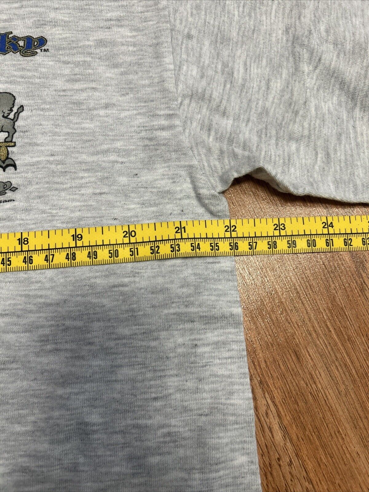 DEADSTOCK Vintage Kentucky University Men’s L Gray 90s Y2K