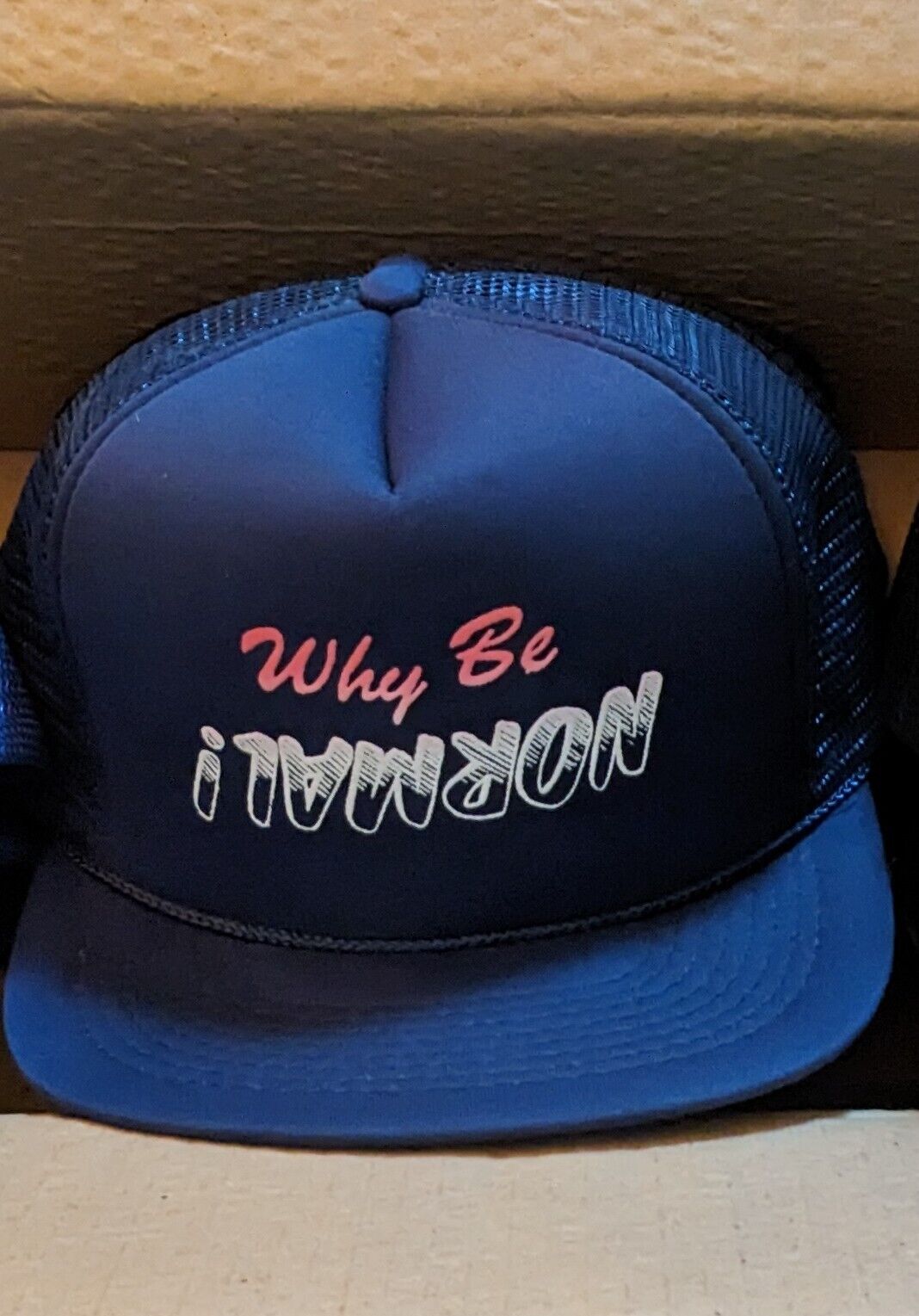 One Single Vintage Snapback Hat Caps Novelty Funny Deadstock Picked At Random