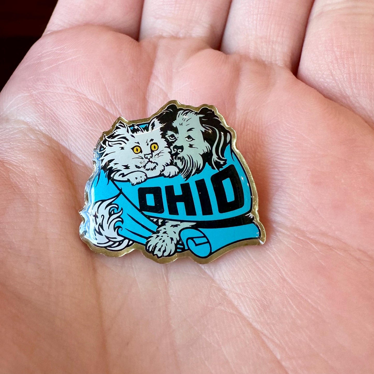 Pin with a design of a dog wearing an 'OHIO' sweater held between fingers.