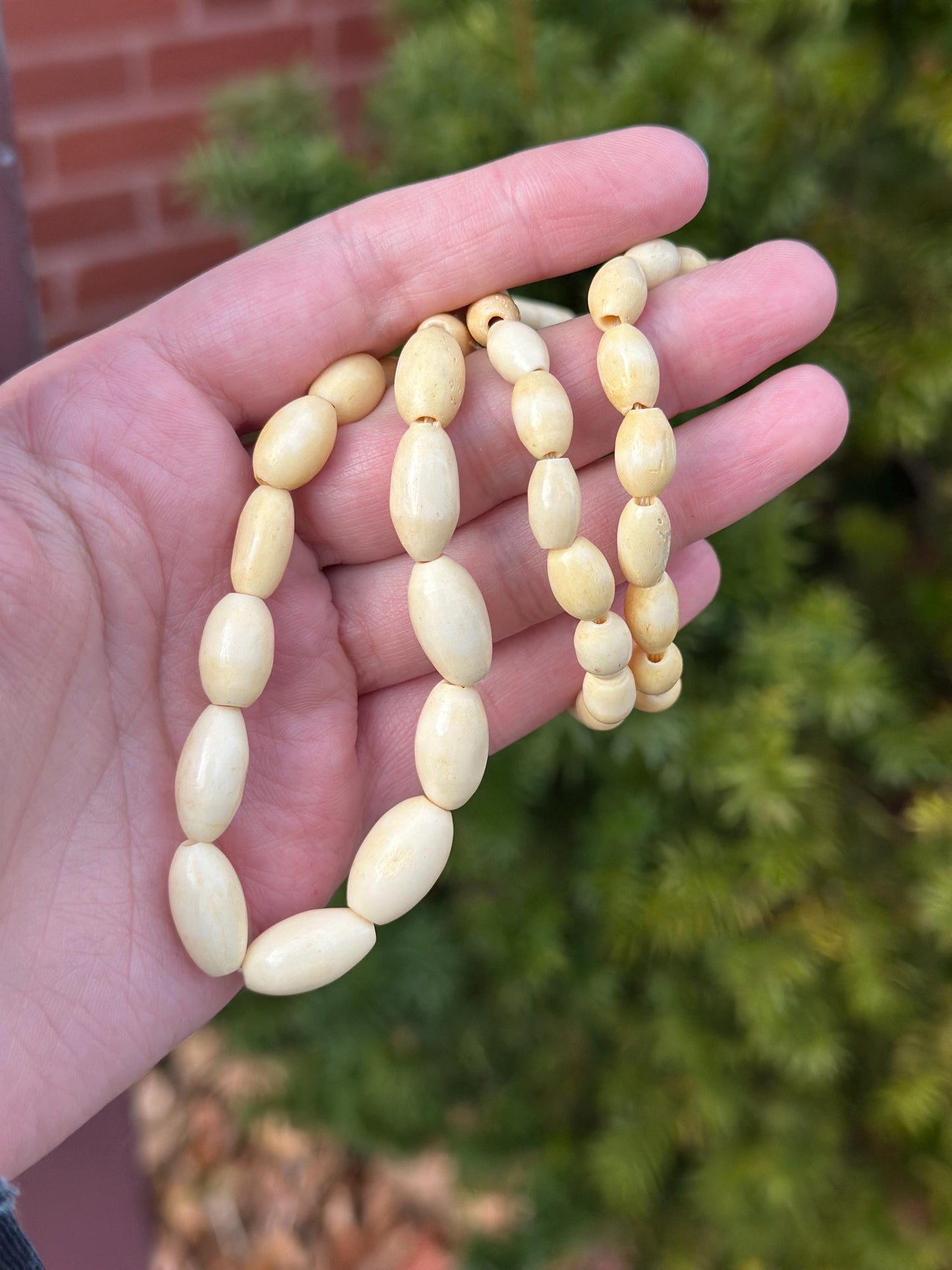 Antique 1900's Victorian French Celluloid Beaded Necklace